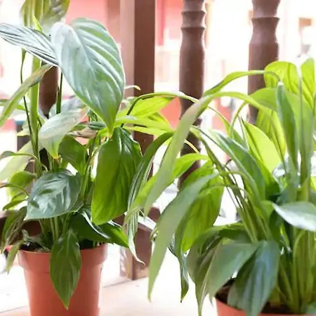 Acb - Z26 Centrico - Parking Gratis